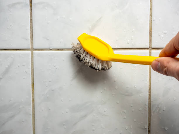 Best Mold Testing  in Alderwood Manor, WA
