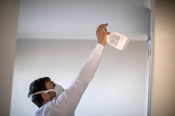 Mold Removal Process in Alderwood Manor, WA
